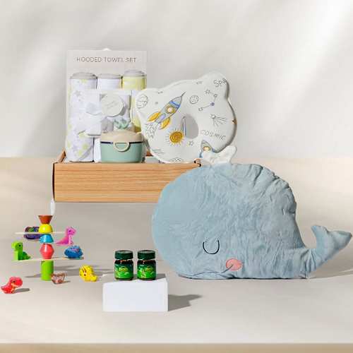 Premium Baby Hampers