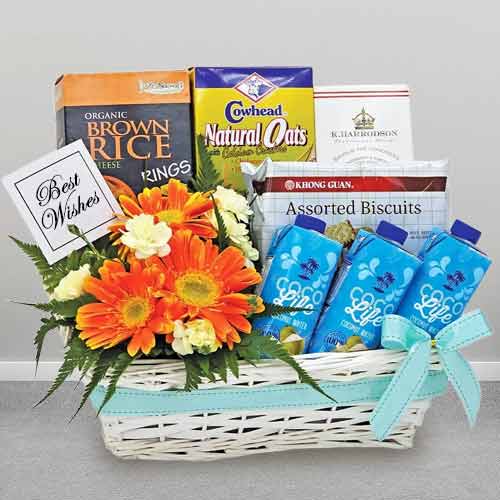 Value Wellness Starter Hamper