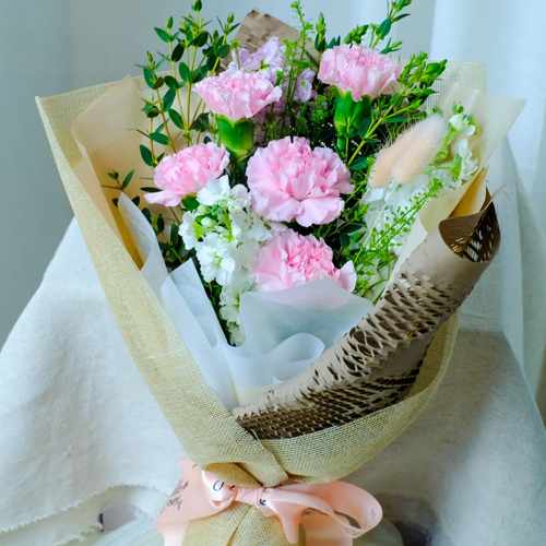 Elegant Carnation Bouquet – 5 Premium Stems