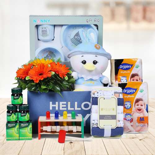 - Newborn Hamper Delivery