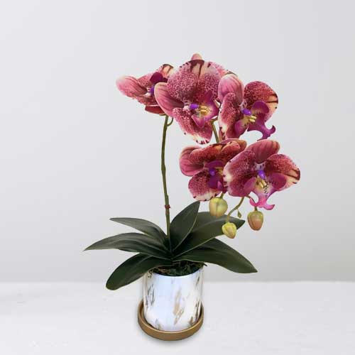 - Send Housewarming Gifts To Singapore