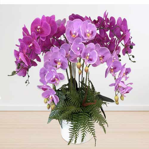 - Grand Opening Gifts To Send