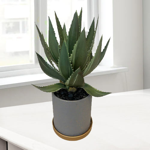 - Housewarming Gifts Delivered Online