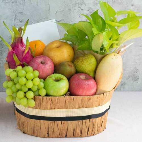 - Healthy Fruit Basket Delivery Singapore