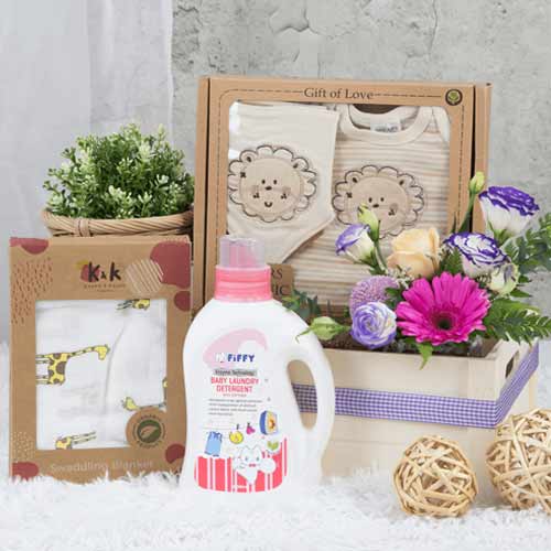 - Special Newborn Gifts Send To Singapore
