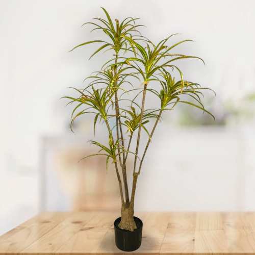 - Artificial Plants For Corporate Gifting